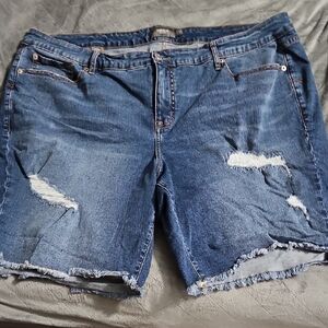 Torrid Denim Jean Shorts Size 24